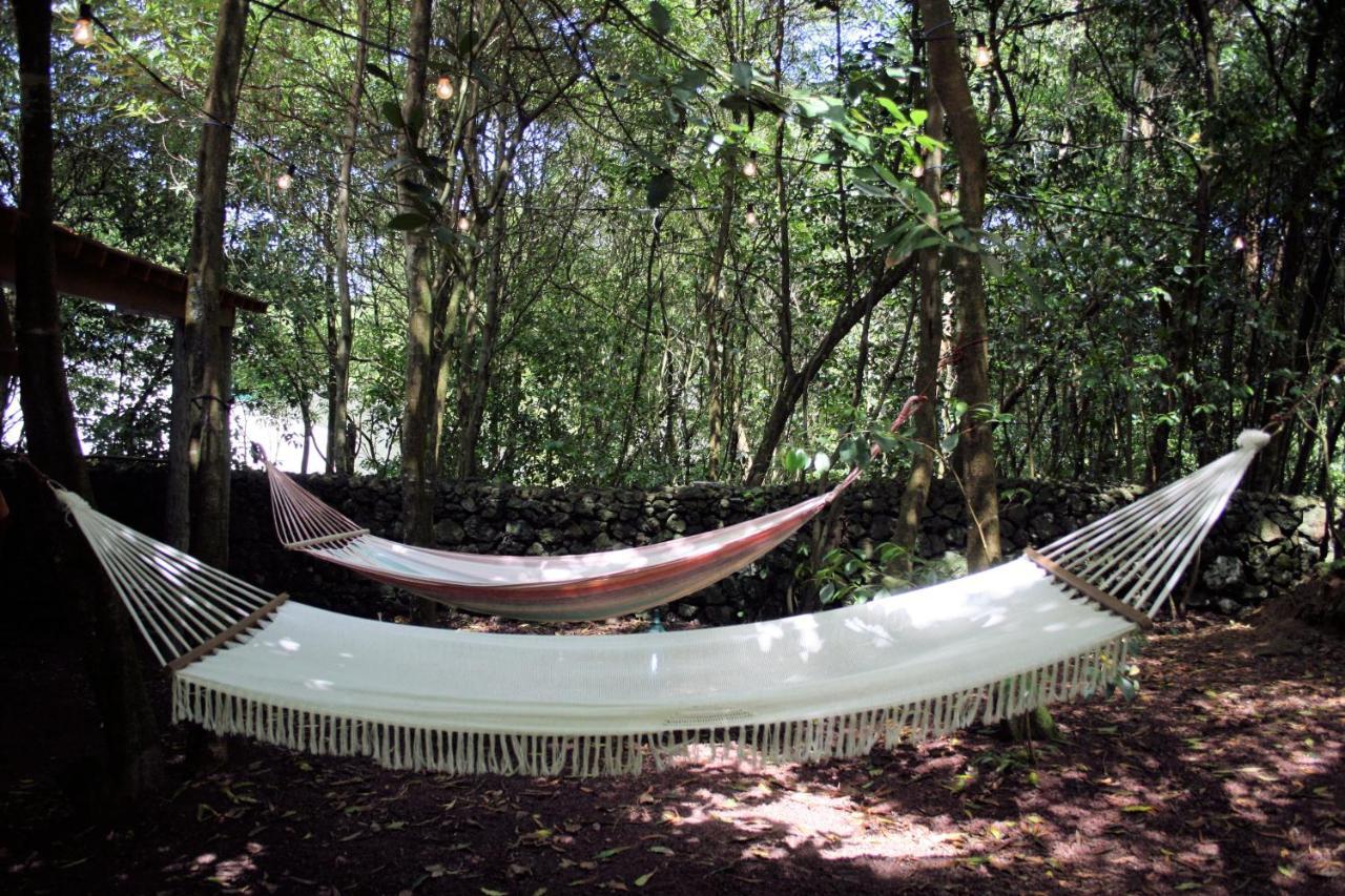 Azores Casa Da Mata Wellness Spa São Vicente Ferreira Eksteriør bilde